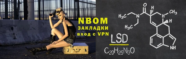 индика Заволжье