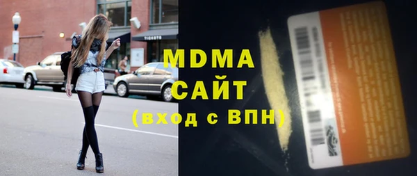 индика Заволжье
