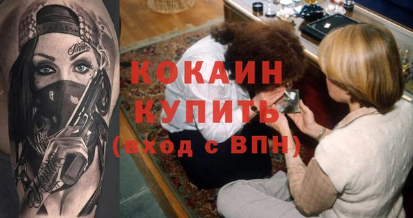 индика Заволжье