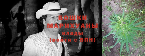 мдпв Заводоуковск