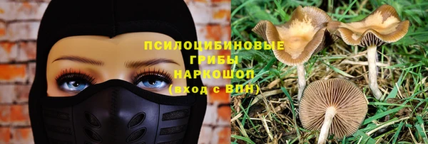 мдпв Заводоуковск