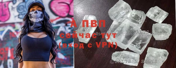 индика Заволжье
