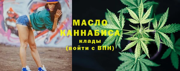 индика Заволжье