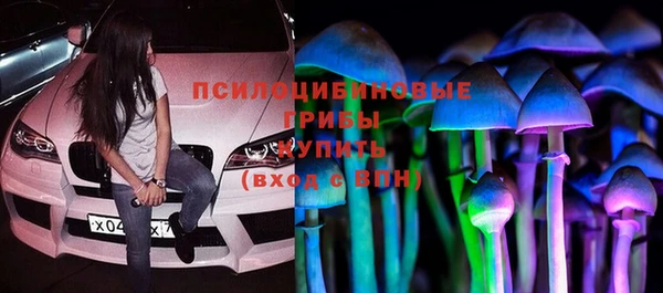 индика Заволжье