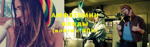 индика Заволжье