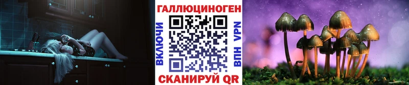 Купить закладки  Ростов  Галлюциногенные грибы Psilocybe 